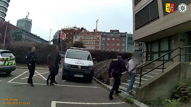 Tři muži znásilnili hendikepovanou ženu, do parku ji vylákali přes sociální sítě