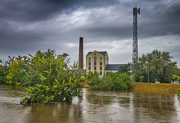Meandry, mokřady i stromy. Povodňový park u Brna se osvědčil, chystají se další