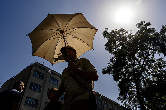 Vedro v Česku zabíjí ročně po stovkách. A rok od roku je to mnohem horší