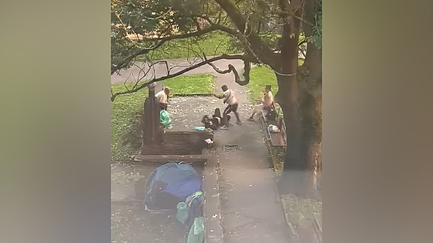 Kopy do obličeje, dupání po hlavě, házení na beton. Muži v parku brutálně zbili ženu