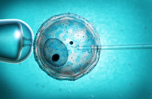 Umělé oplodnění je větší zátěží pro psychiku než pro tělo, říká lékařka