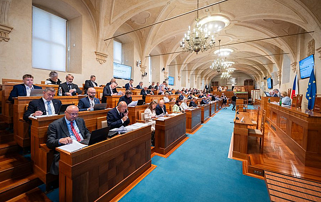 Senát podpoří prezidentovy kandidáty do Ústavního soudu Bartoně i Smolka