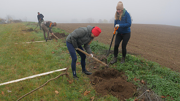 Na Žďársko se vracejí původní odrůdy ovocných stromů. Díky sdružení i dobrovolníkům