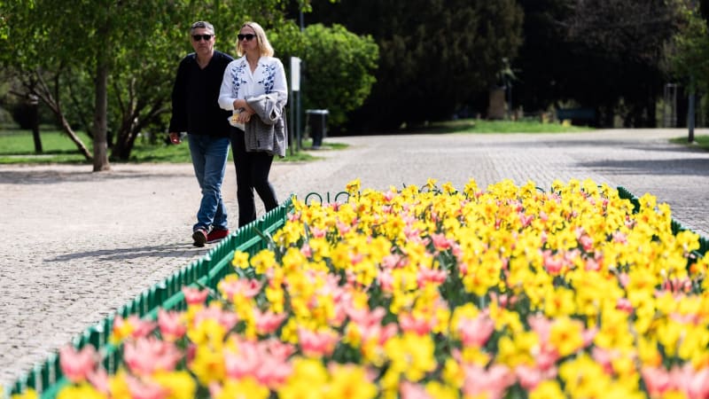 Přes den slunečno, v noci mrazy. MAPA ukazuje, kde teploty klesnou hluboko pod nulu