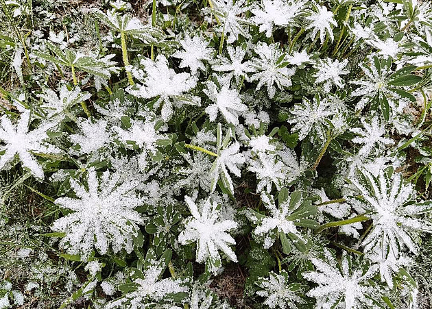 Po letních teplotách šok. Meteorologové ukázali, kde v Česku bude v úterý sněžit